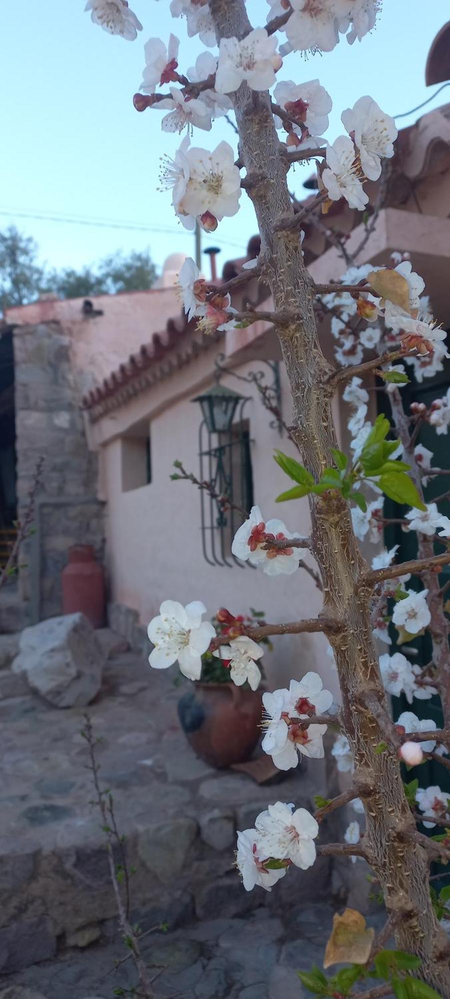 Los Arcabuceros Casa Hotel Boutique Tilcara Εξωτερικό φωτογραφία