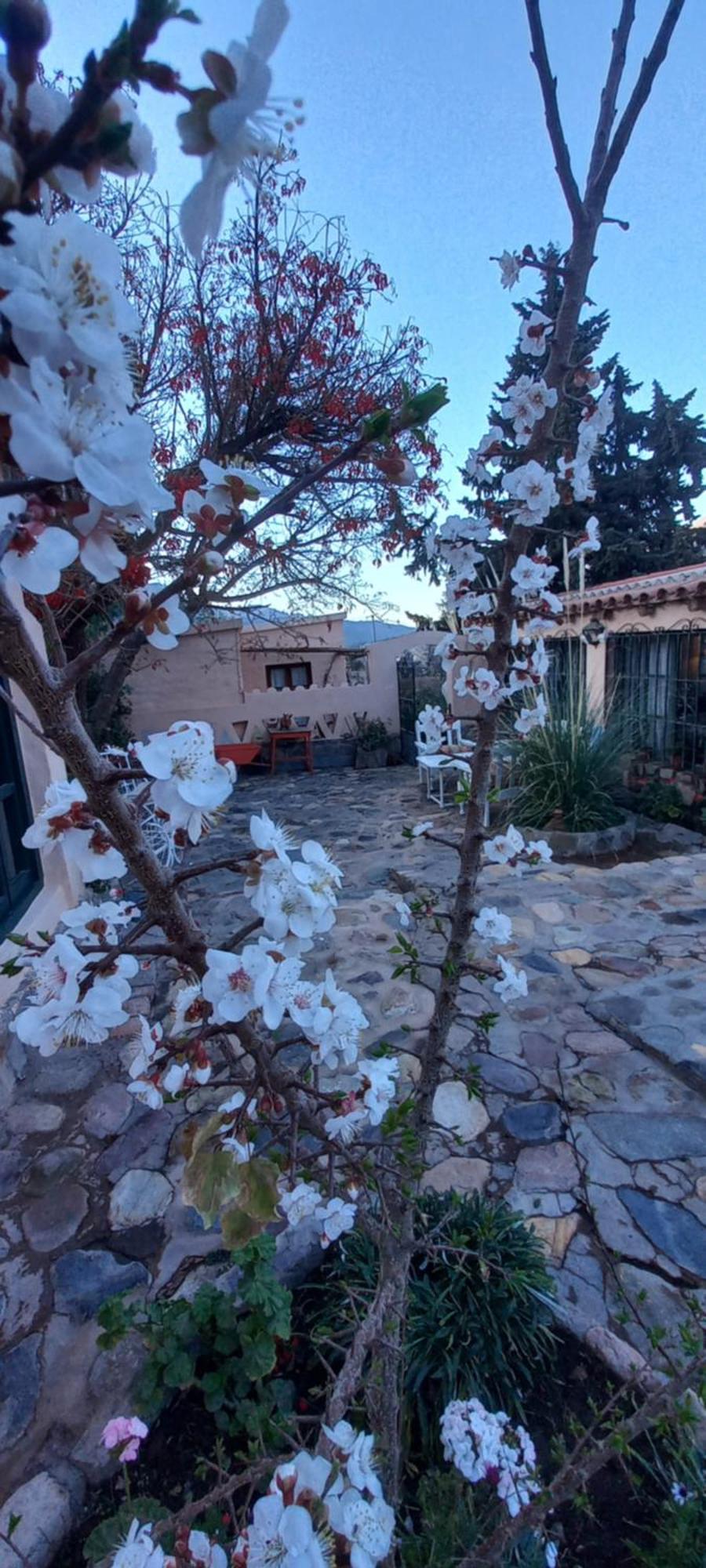 Los Arcabuceros Casa Hotel Boutique Tilcara Εξωτερικό φωτογραφία